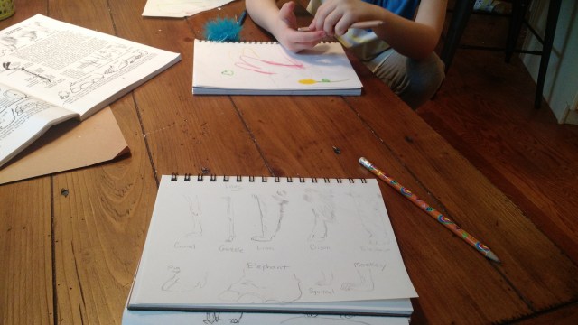 IMG_20150927_151819198