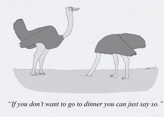 Ostriches.jpg